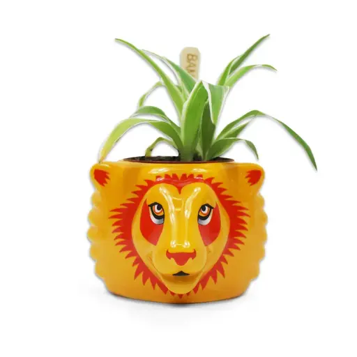 Harry Potter - Gryffindor Plant Pot 