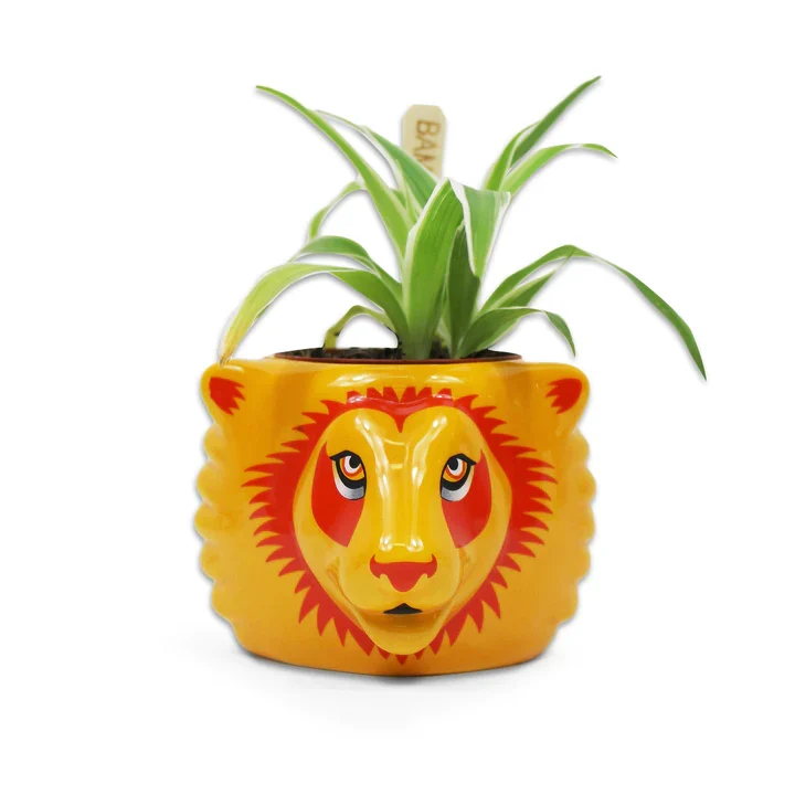 Harry Potter - Gryffindor Plant Pot 