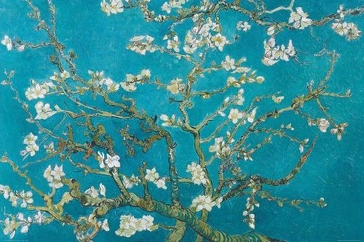 Van Gogh Amandel bloesem - Maxi Poster